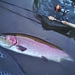 なかなか厳しい天竜川
